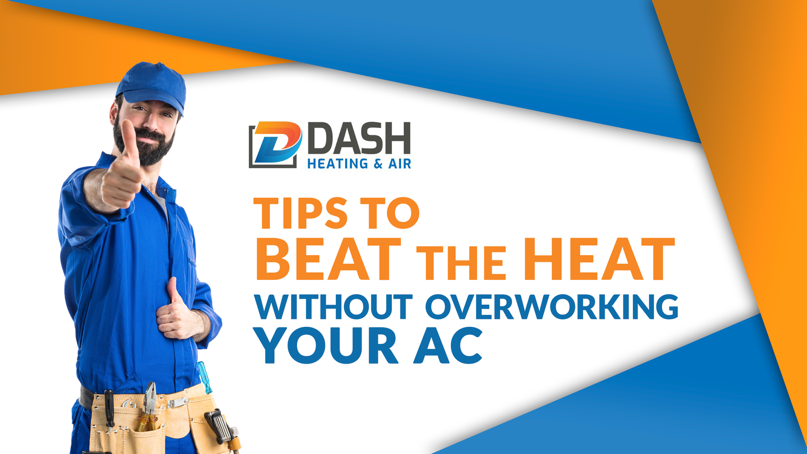 Nov 21 - dashinaflash.com